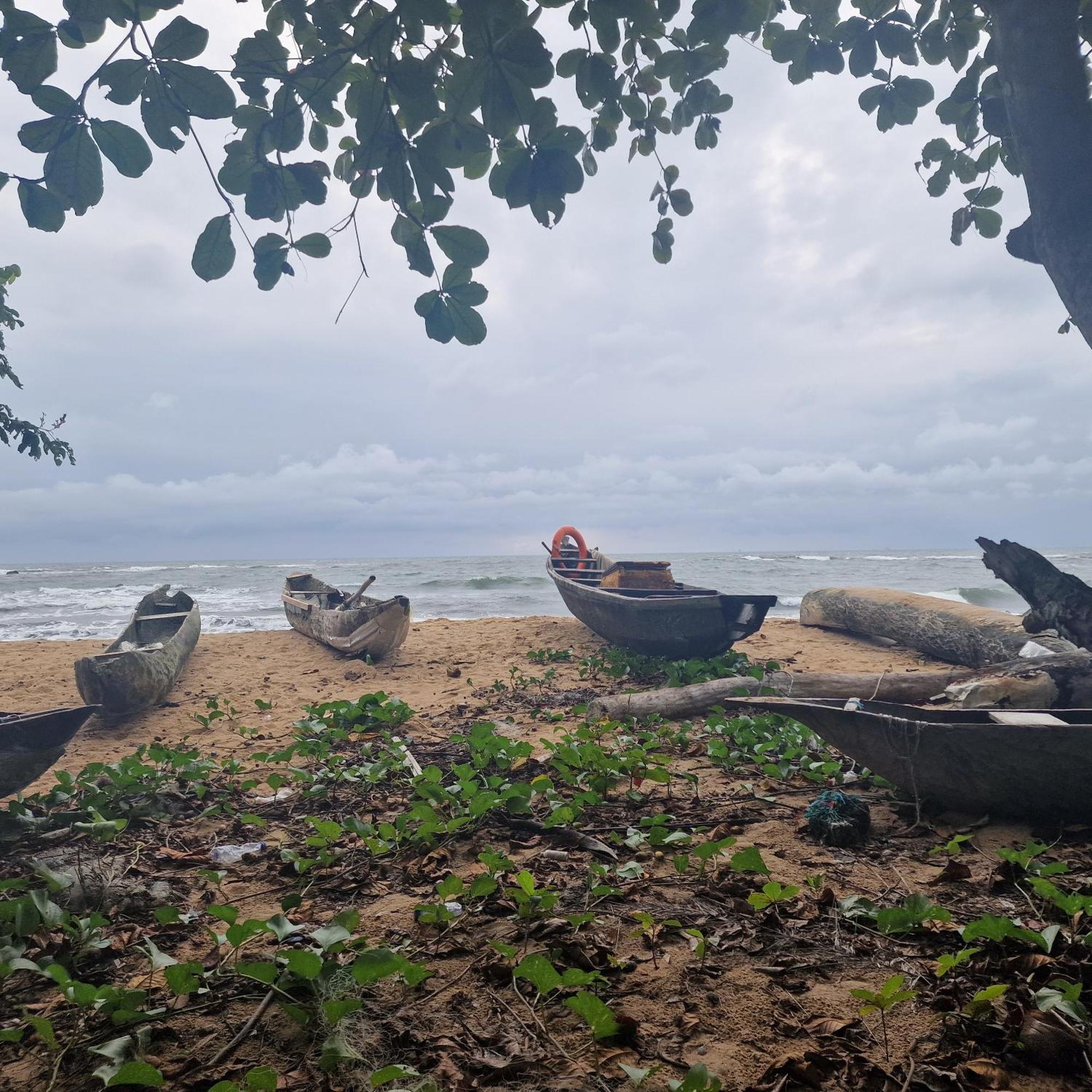 La Villa Lou, Musee Des Arts Grand Batangua Kribi Exteriér fotografie